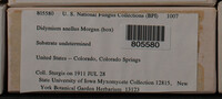 Image Associated With the Occurence